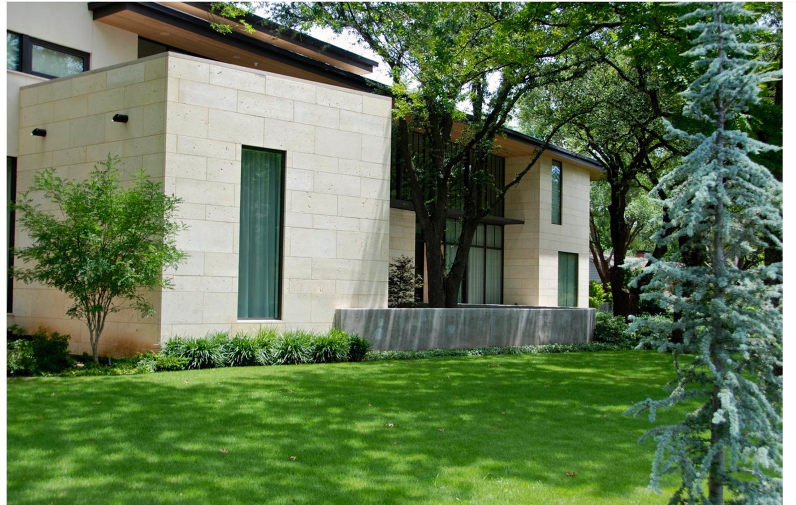 Contemporary Preston Hollow estate with modern home, open lawn, and blue spruce - luxury landscape design by Original Landscape Concepts in Dallas