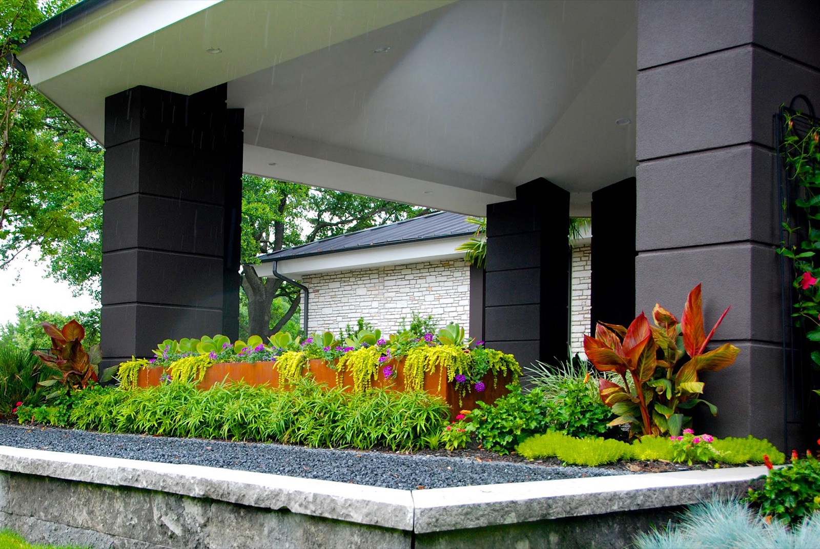 Organic Modern Renovation landscape renovation detail - organic modern landscape design by Original Landscape Concepts in Dallas