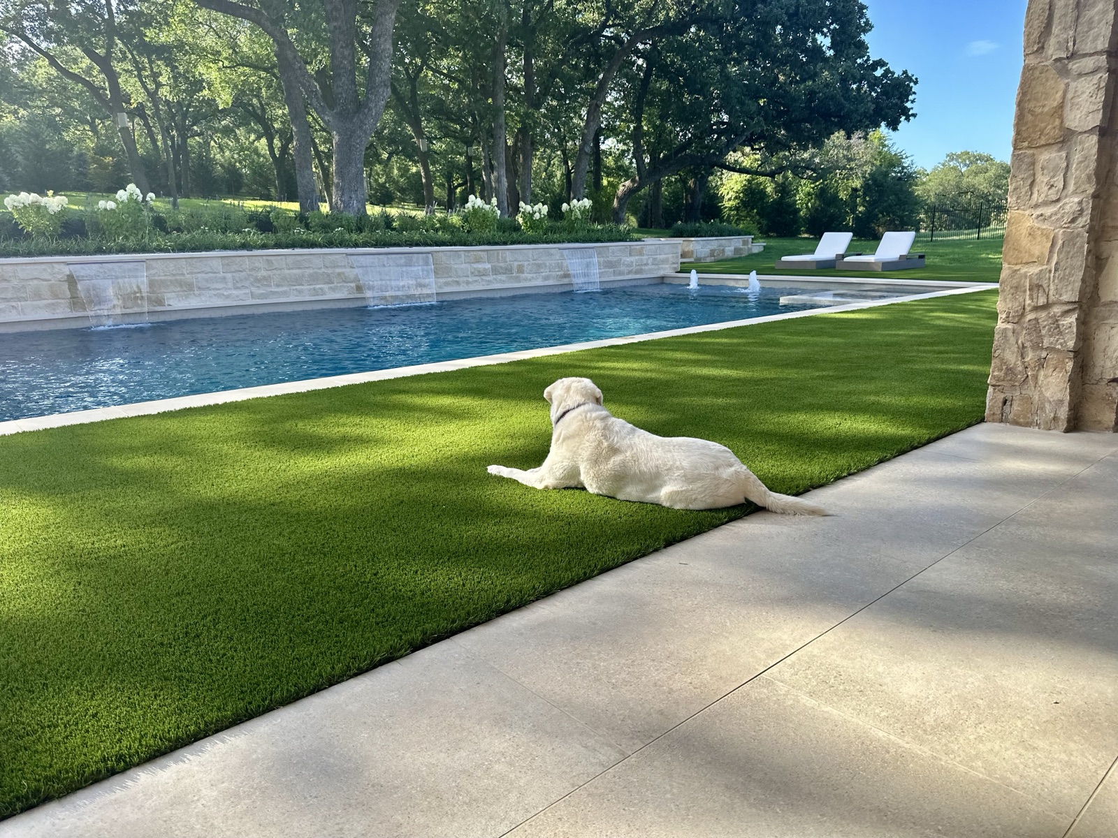 Modern Estate Pool pool view 5 - residential landscape design in Dallas TX